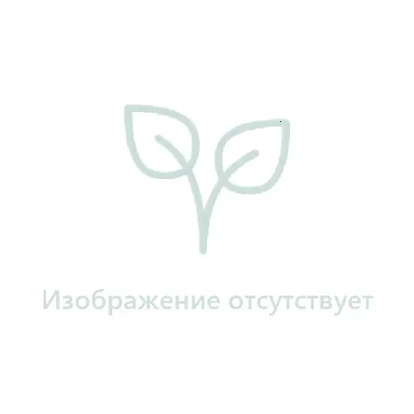 Акцент, КЭ